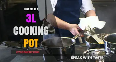 Large Cooking Pots: 3L Capacity and Beyond