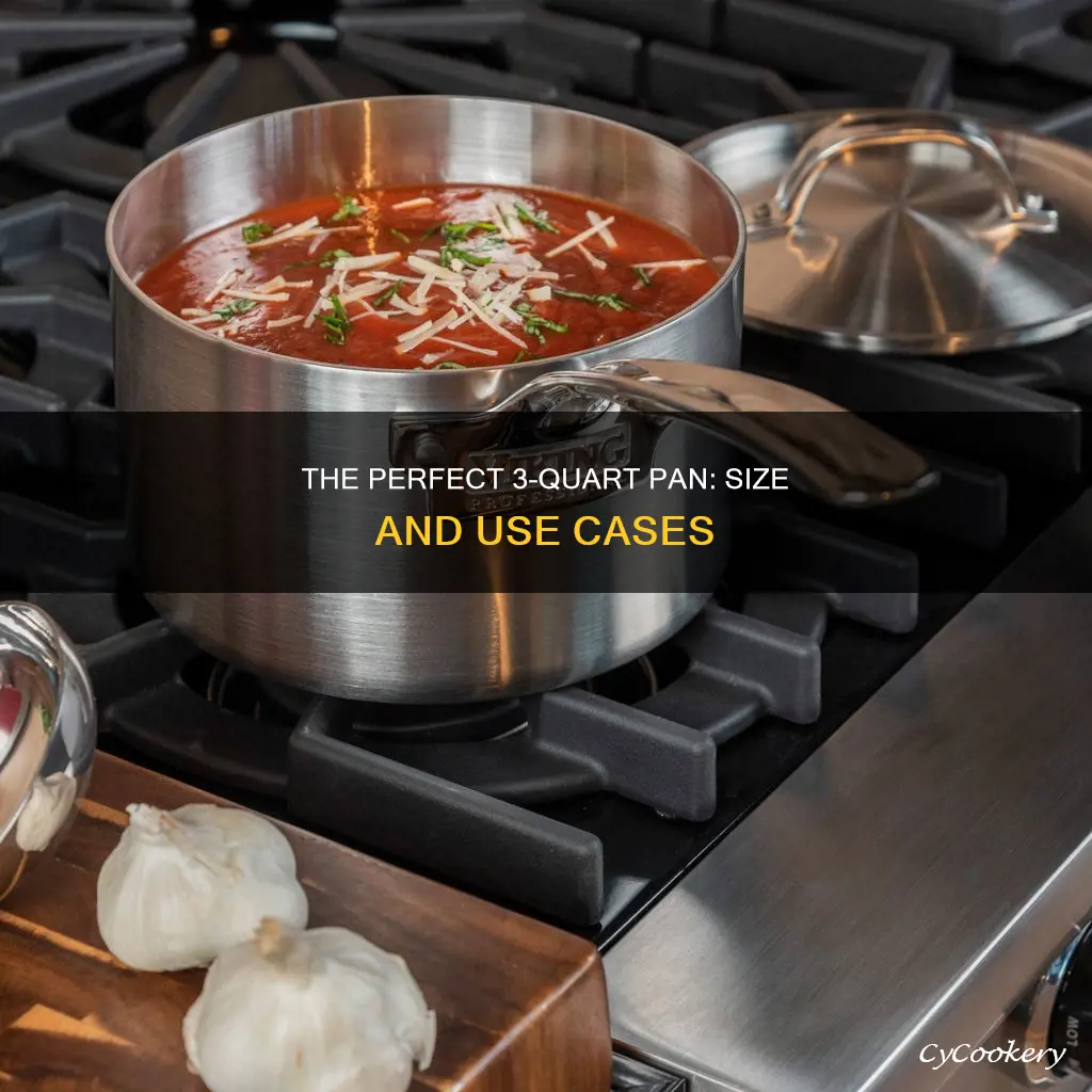 how big is a 3qt pan