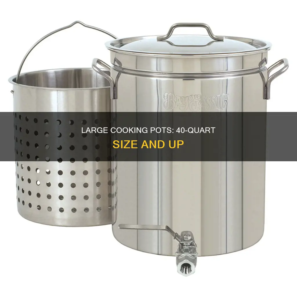 how big is a 40 quart cooking pot