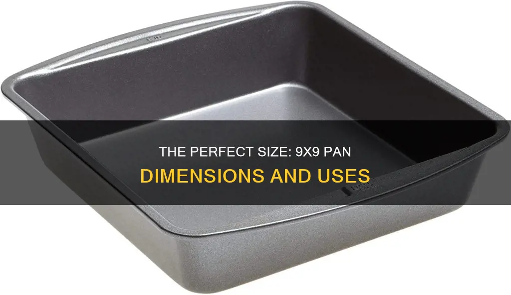 how big is a 9x9 pan