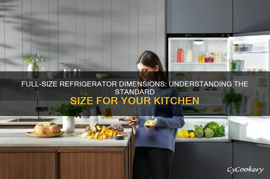how big is a full size refrigerator