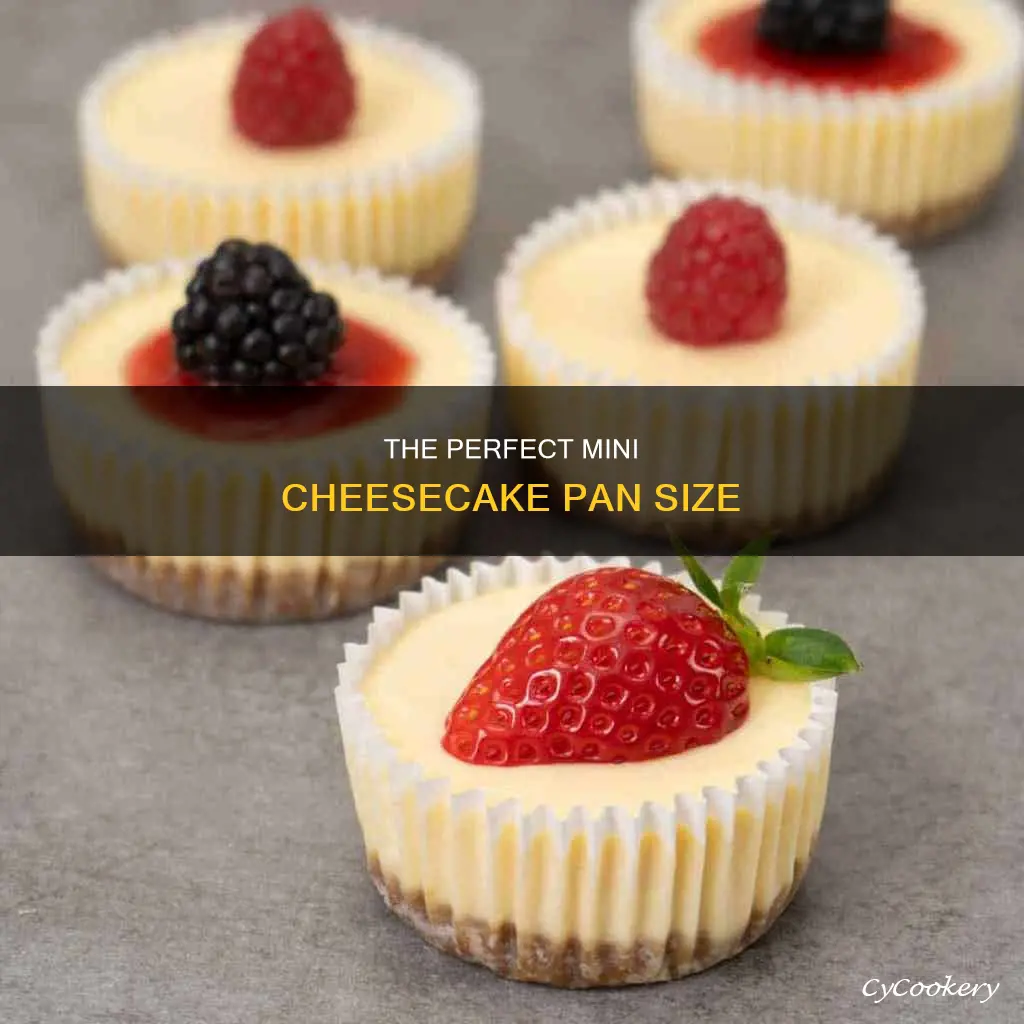 how big is a mini cheesecake pan