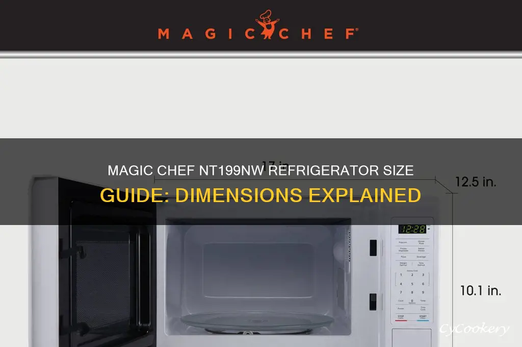 how big is a model nt199nw magic chef refrigerator