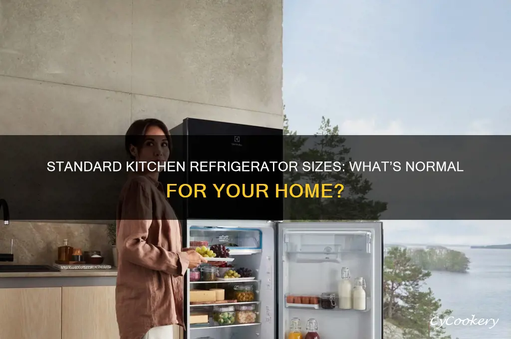 how big is a normal kitchen refrigerator