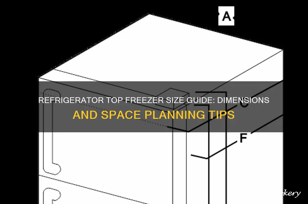 how big is a refrigerator top freezer