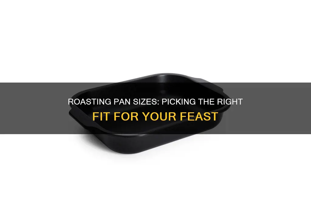 how big is a rosting pan