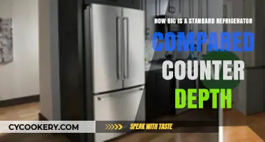 Standard vs. Counter Depth Fridges: Size Comparison Guide