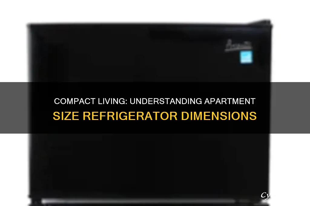how big is an apartment size refrigerator