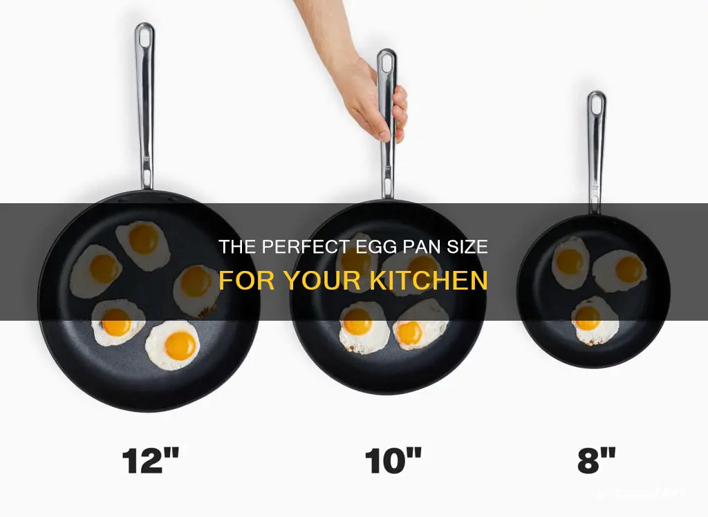 how big is an egg pan