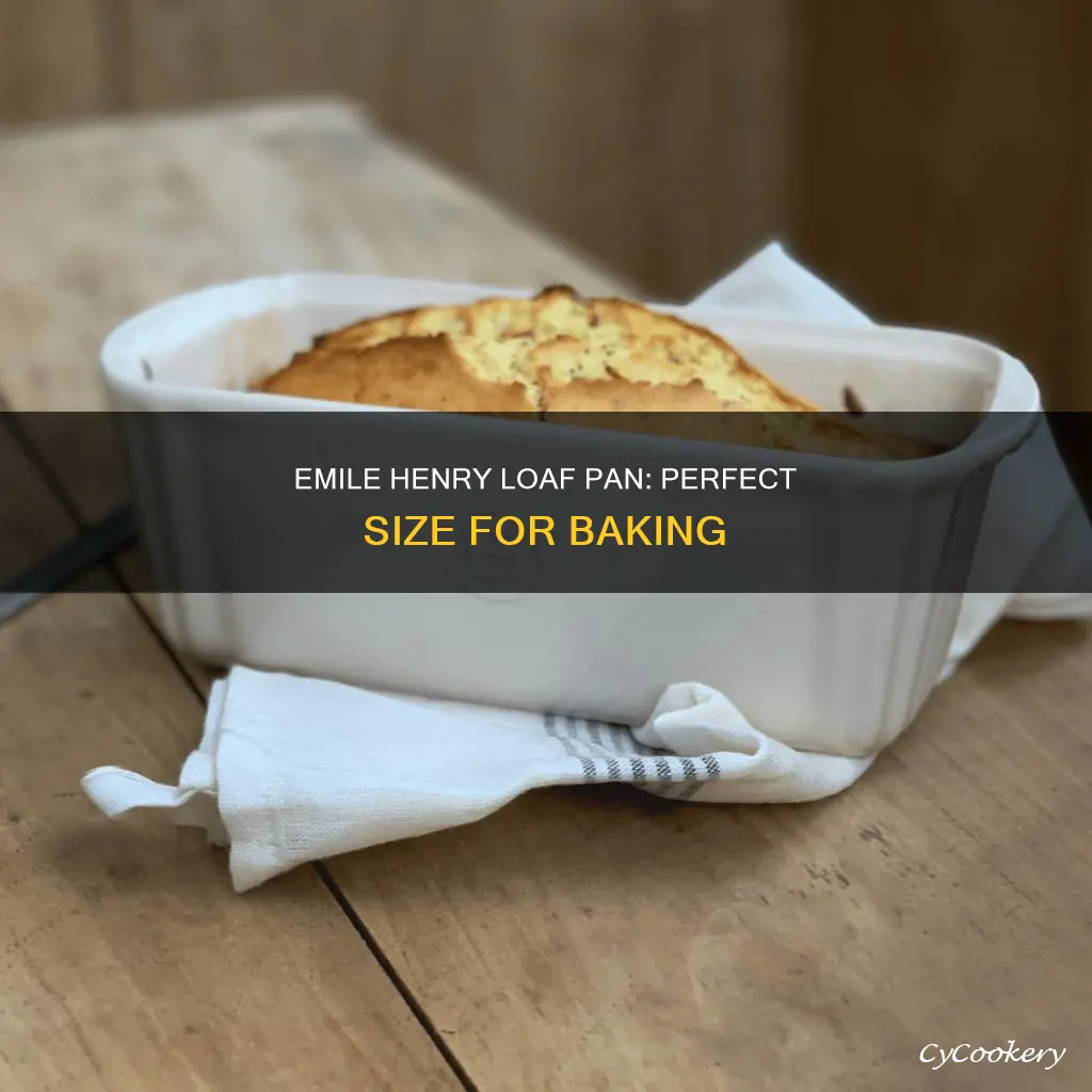how big is emille henri loaf pan