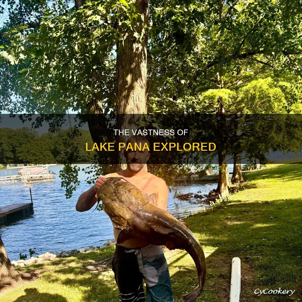how big is lake pana