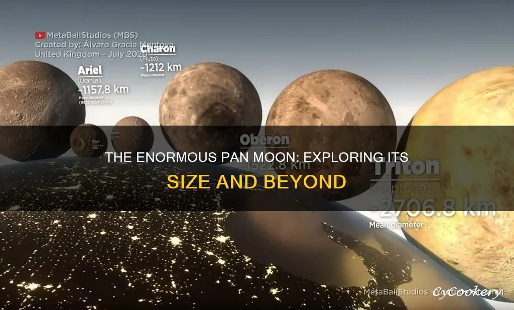 how big is pan moon