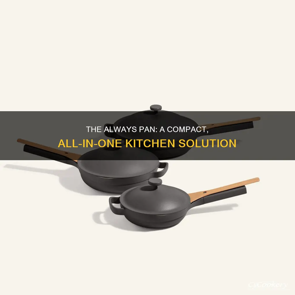 how big is the always pan