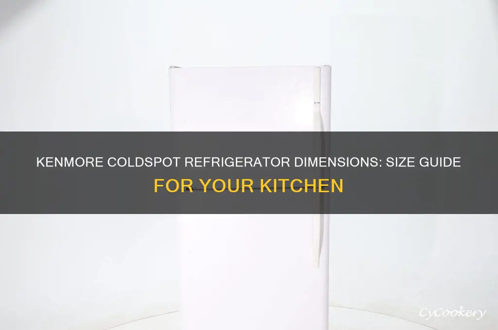 how big is the kenmore coldspot refrigerator