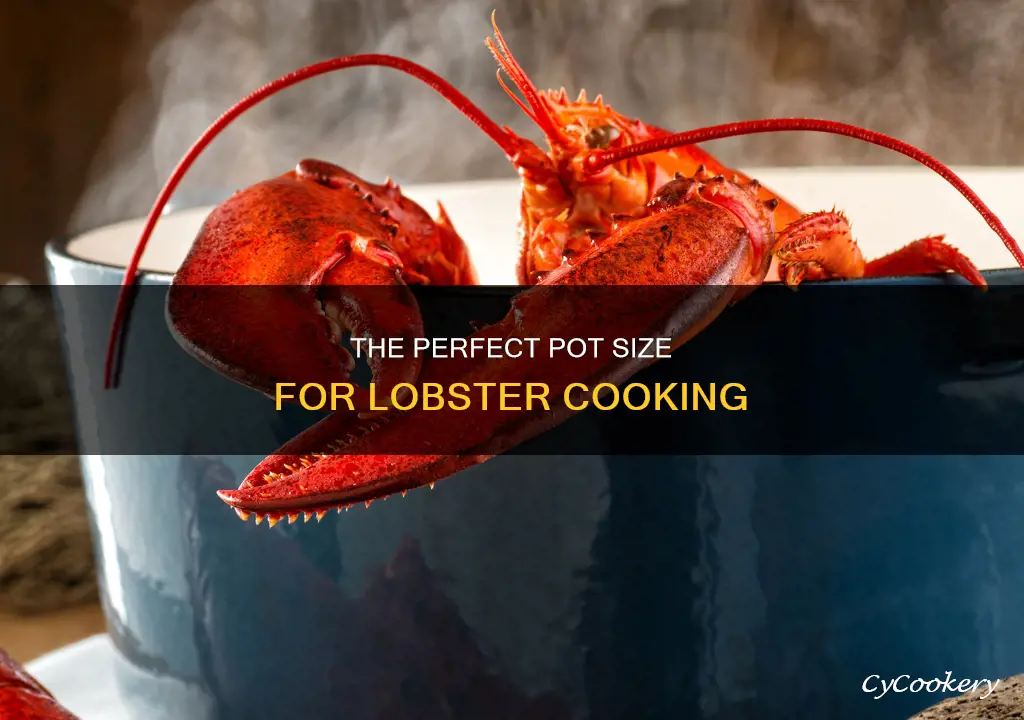 how big of a pot to cook a lobster