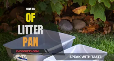 Litter Pan Size: How Big is Too Big?