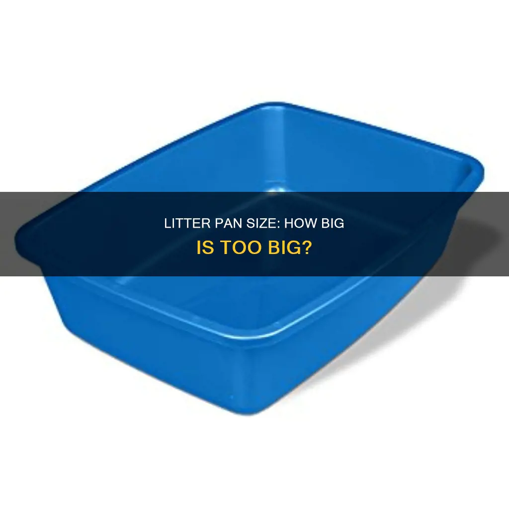 how big of litter pan