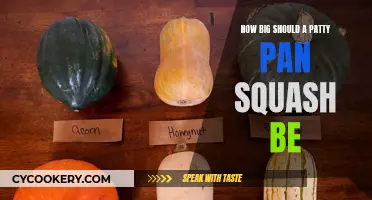 Growing Patty Pan Squash: Picking the Right Size