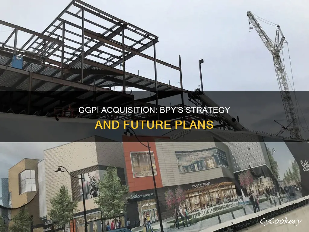 how bpy purchasign ggp is panning out