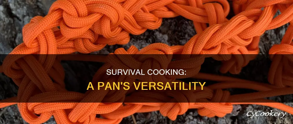 how can a pan help in survival
