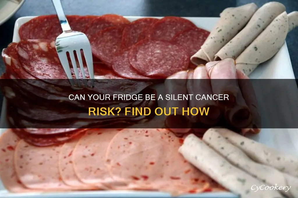 how can a refrigerator cause cancer