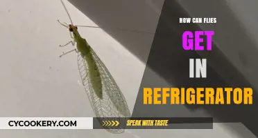 How Do Flies Enter Your Refrigerator? Simple Explanations and Solutions