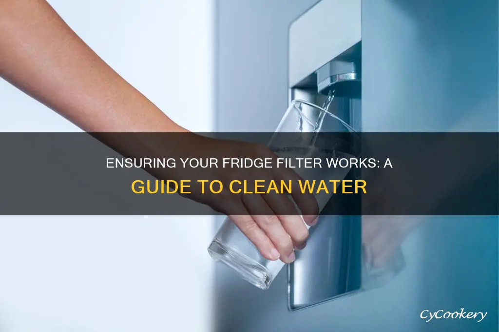 how can i be sure my refrigerator filter is filtering