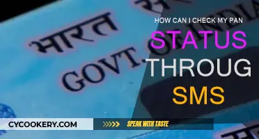 PAN Status: SMS Enquiry Process Simplified