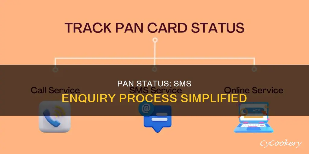 how can I check my pan status through sms
