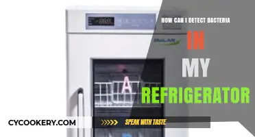 Detecting Hidden Bacteria: A Guide to a Clean Refrigerator