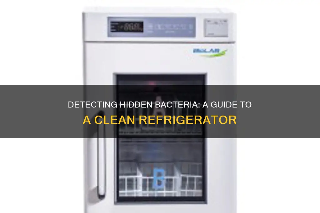 how can i detect bacteria in my refrigerator
