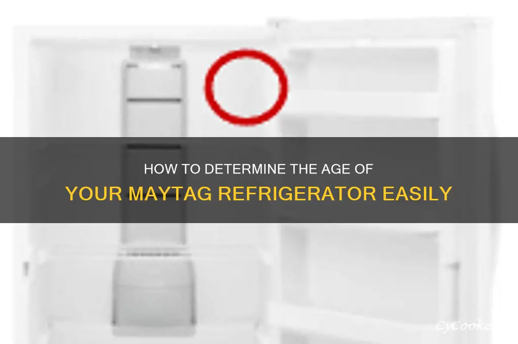 how can i determine the age of my maytag refrigerator