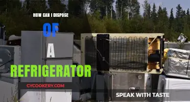 Eco-Friendly Ways to Safely Dispose of Your Old Refrigerator