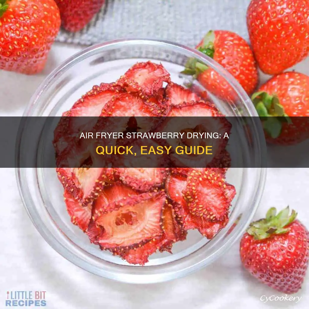 how can i dry strawberries in a air fryer