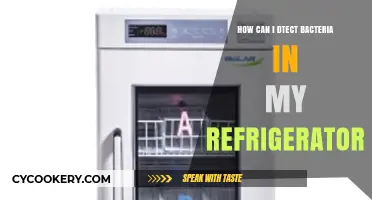 Detecting Hidden Bacteria: A Guide to a Clean Refrigerator