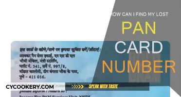 PAN Card Retrieval: Finding Your Lost PAN Number