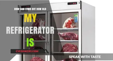Discover Your Fridge's Age: A Simple Guide to Finding Out