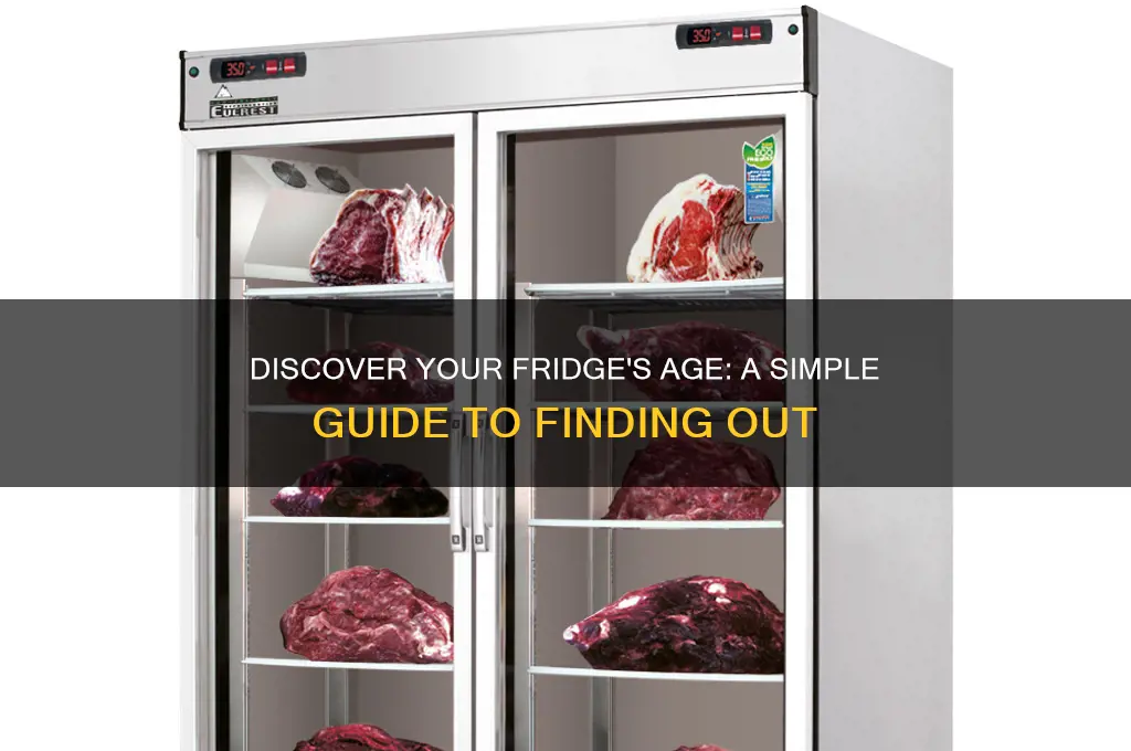 how can i find out how old my refrigerator is