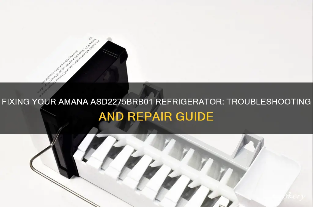 how can i fix my amana refrigerator model number asd2275brb01