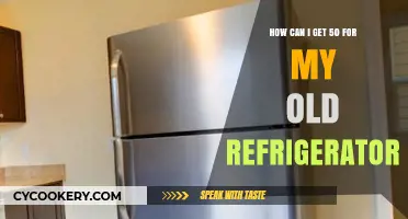 Earn Cash for Your Old Fridge: 50 Easy Ways to Sell