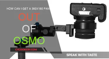 Creating Panoramas: Osmo Pocket's Hidden Talent