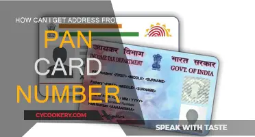 Extracting Address Details from Your PAN Card