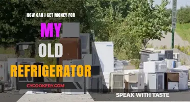 Turn Your Old Fridge into Cash: Smart Recycling Tips