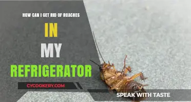 Effective Ways to Eliminate Roaches from Your Refrigerator Permanently