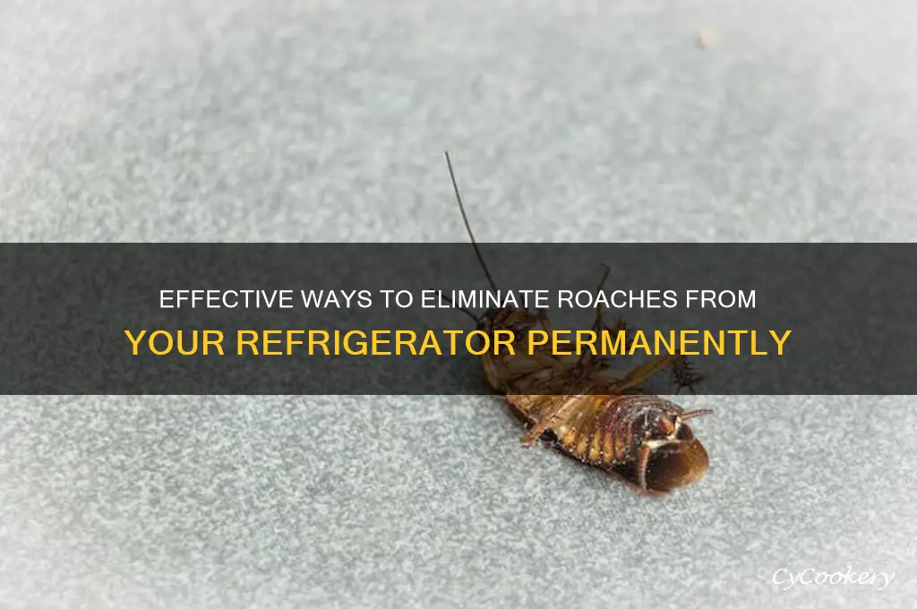 how can i get rid of roaches in my refrigerator