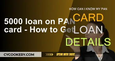 PAN Card Loan Details: A Quick Guide