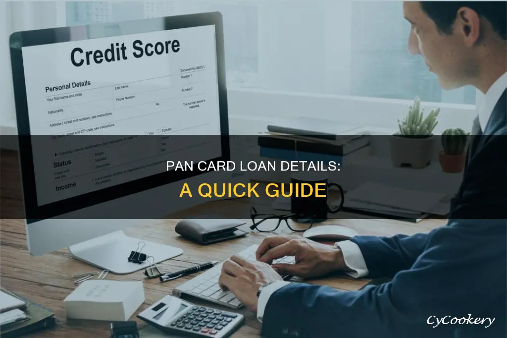 how can I know my pan card loan details