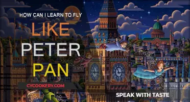 Defying Gravity: Learning to Fly Like Peter Pan