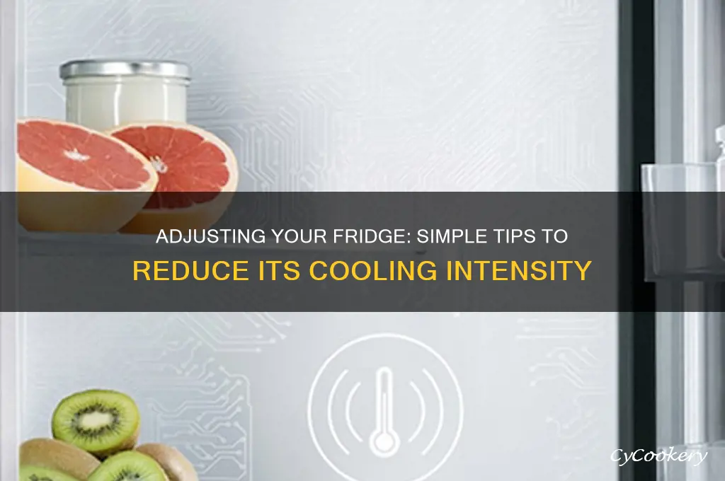 how can i make my refrigerator less cold