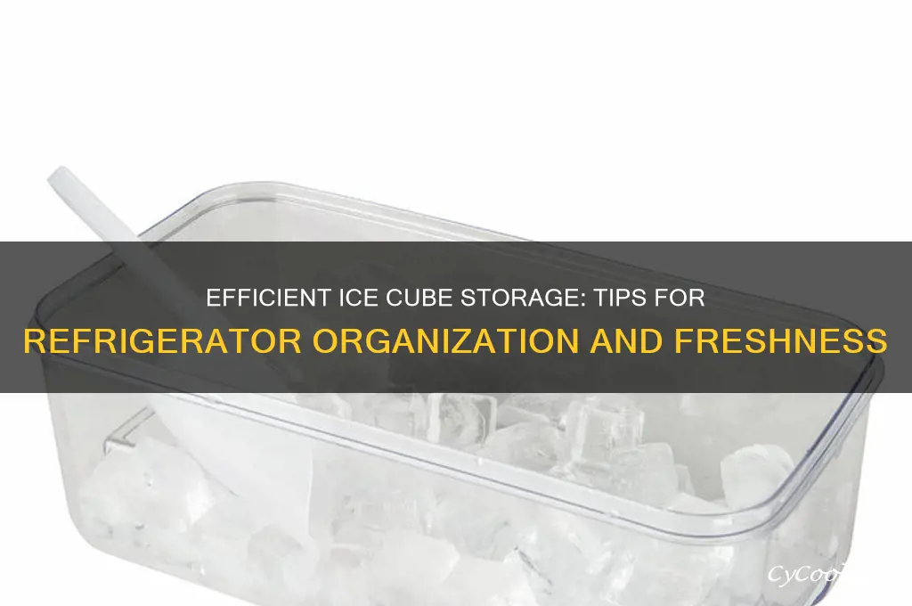 how can i store ice cubes in refrigerator